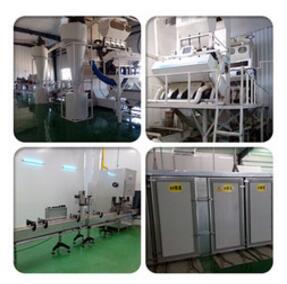 Chinese Sunflower Seeds for sale