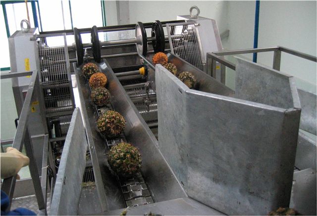 complete set of mango pulp processing line supplier