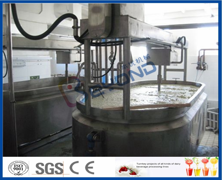 Reliable nature cheese equipment supplier