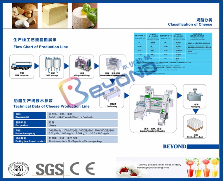 Reliable nature cheese equipment supplier