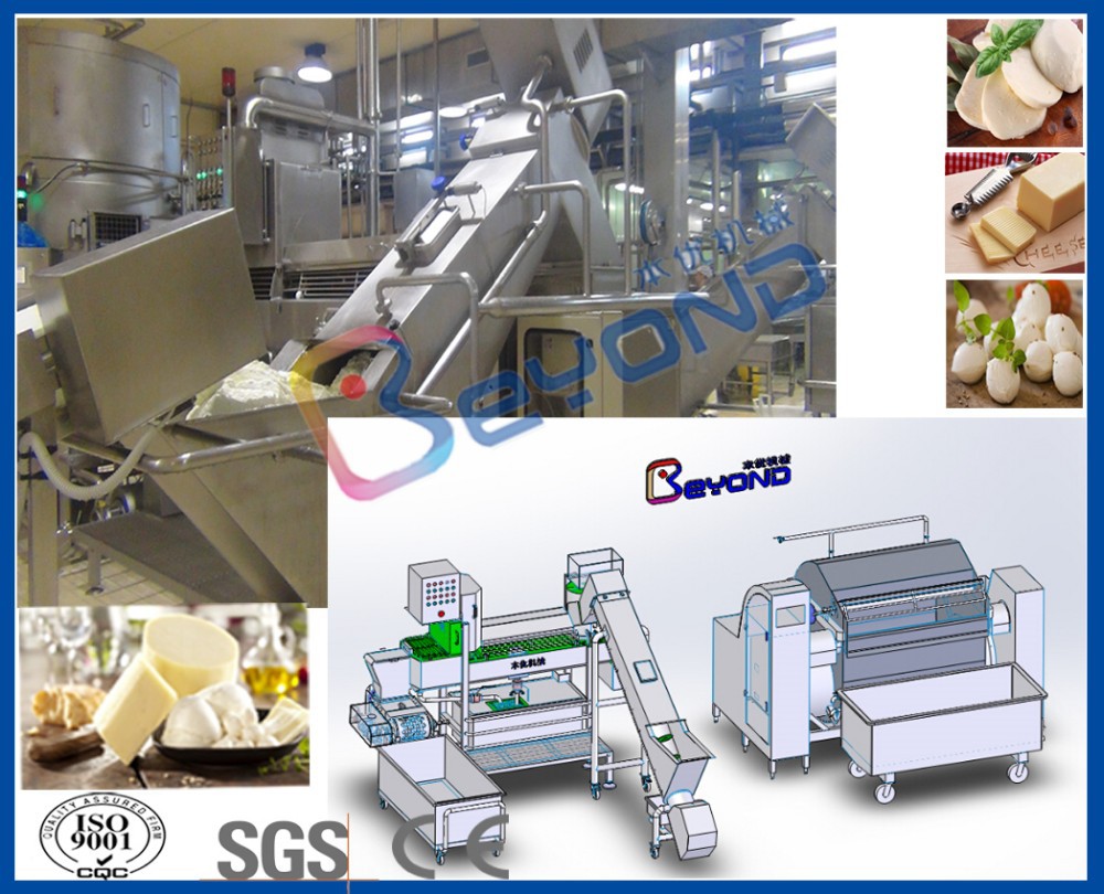 Mozzarella cheese equipment for sale at factory price