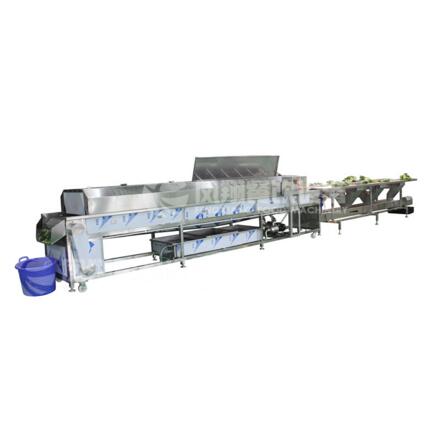 vegetables fruit selection sorting cleaning production line low price