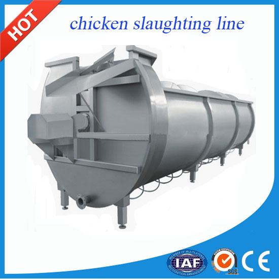 chicken slaughter line