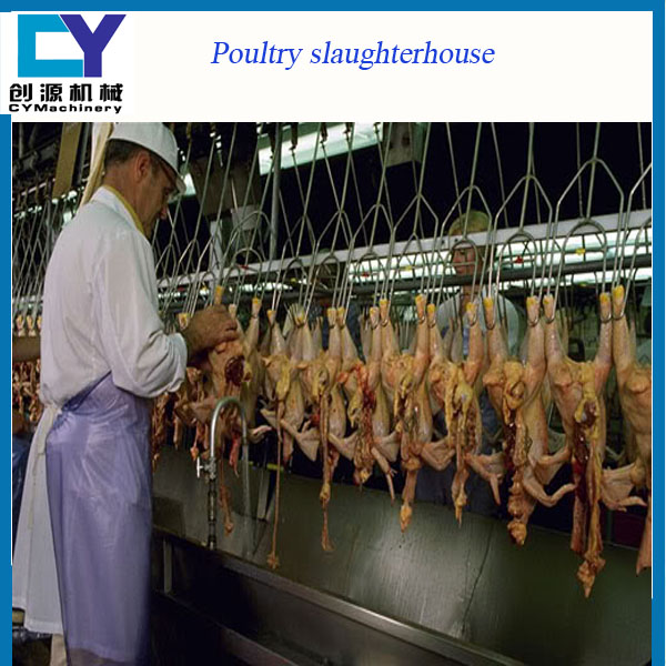 chicken slaughter line chicken slaughtering equipment