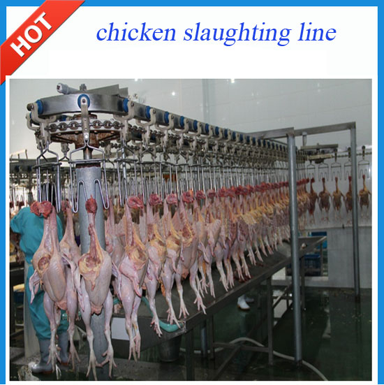High quality poultry slaughterhouse line used for chicken and duck for sale China poultry