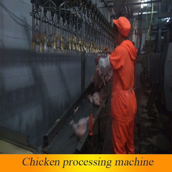 halal slaughter house supplier