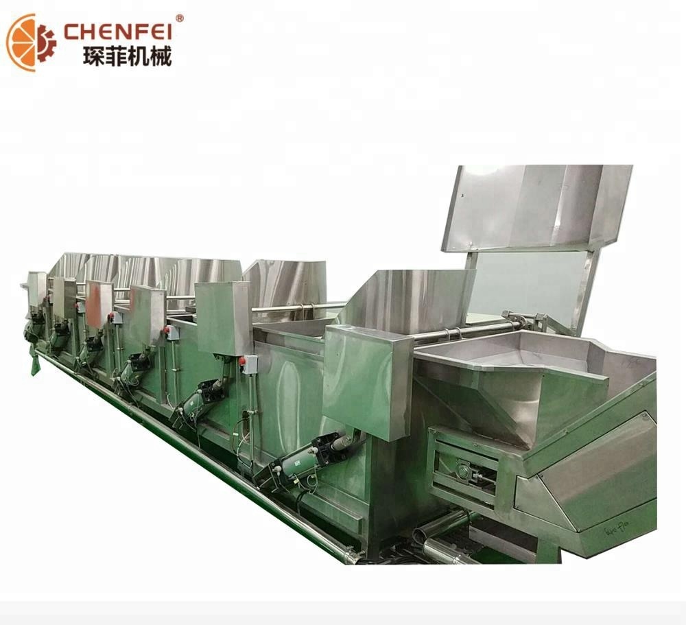 perserved candied dried apple kiwi fruit processing line