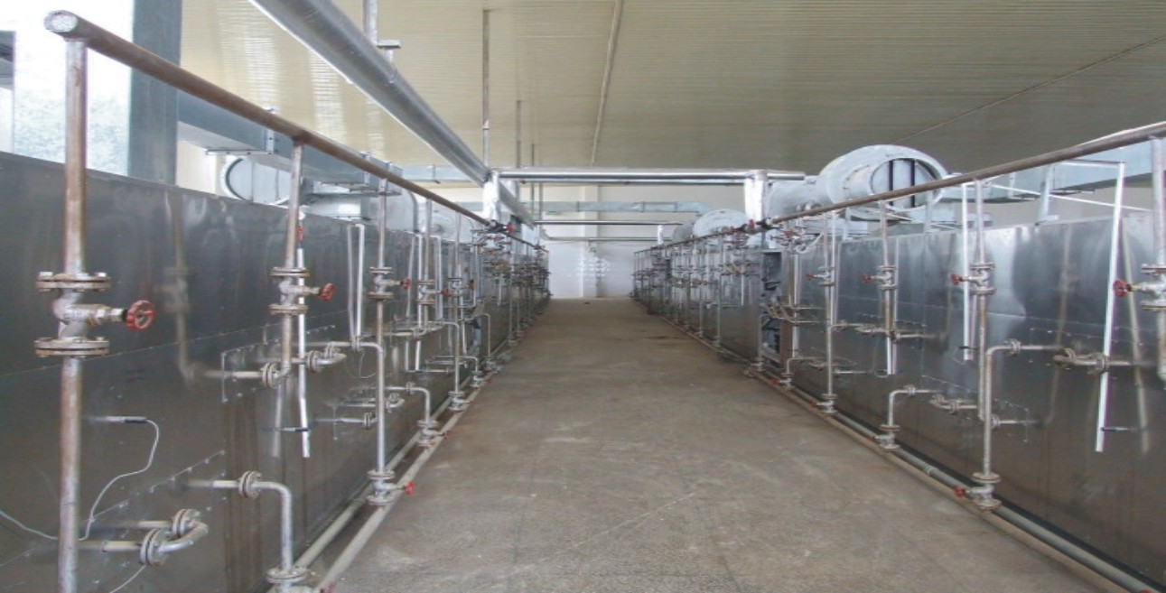 Shrimp Skin Drying Production Line Equipment Supplier