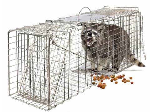 Animal Cages & Traps