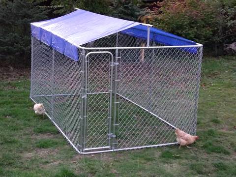 Dog Kennels