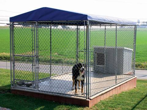 Dog Kennels