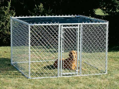 Dog Kennels