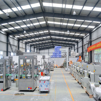 Automatic ball lollipop hard candy production machine line forming machine