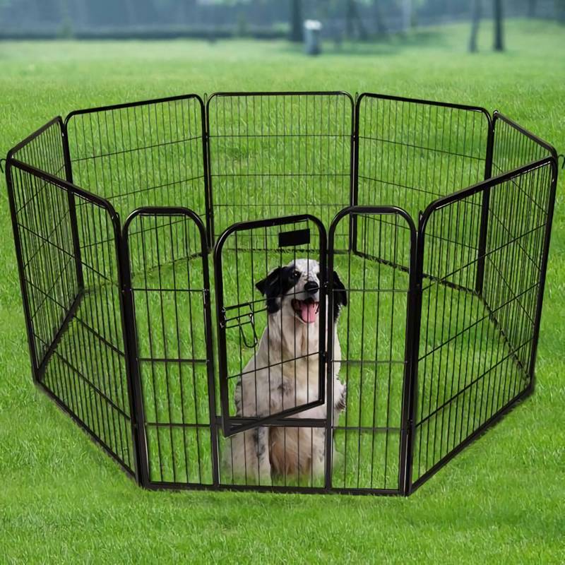 Heavy Duty Exercise Pens