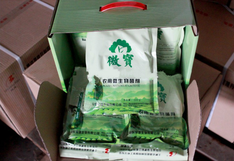 Bacteria Powder Fertilizer Compound Bacteria Fertilizer