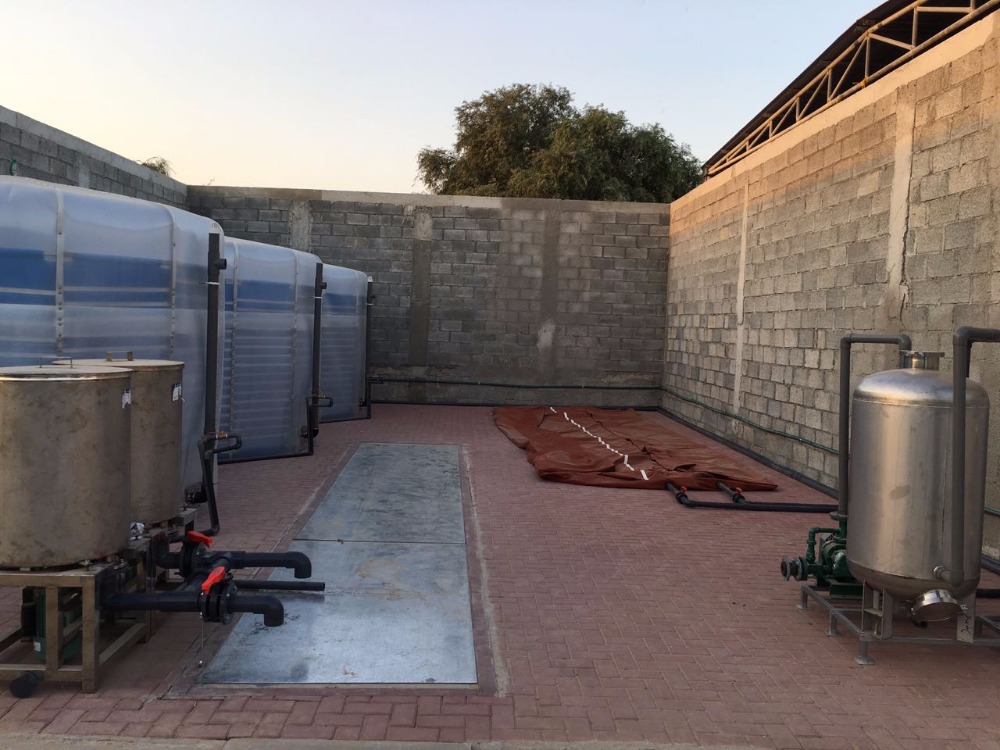 China biogas power plant digester for sale