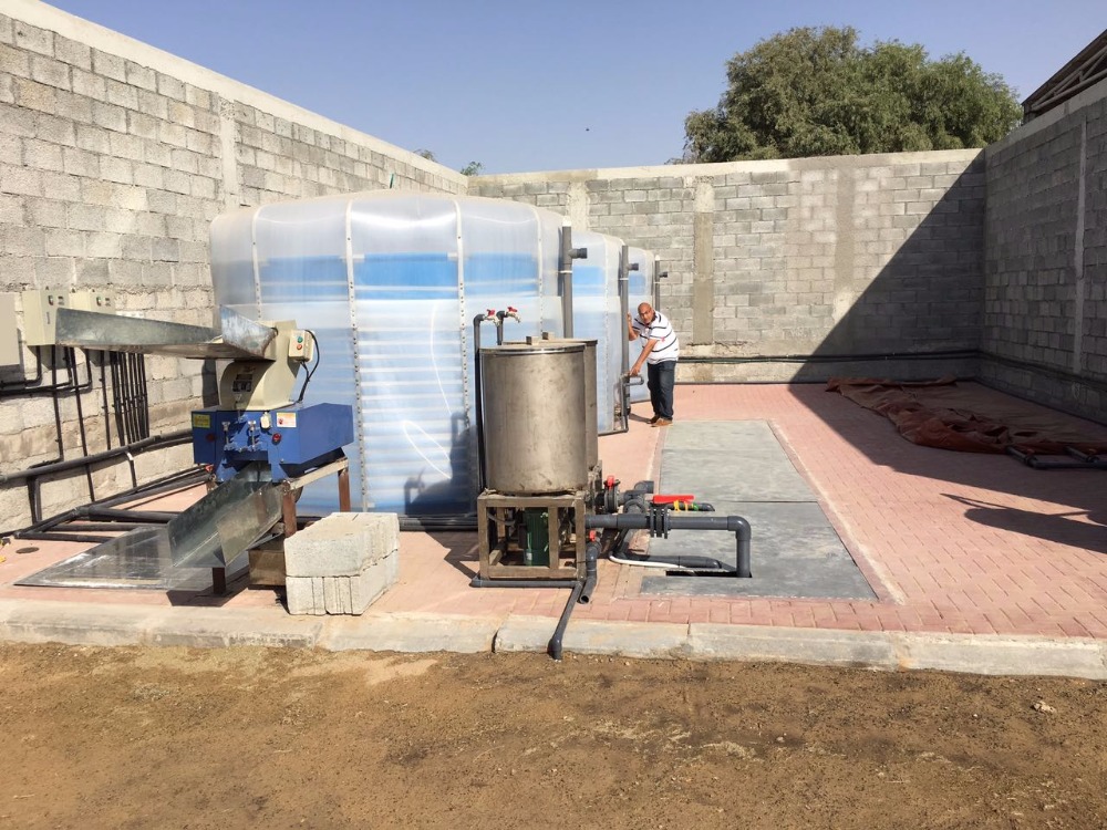 China biogas power plant digester for sale