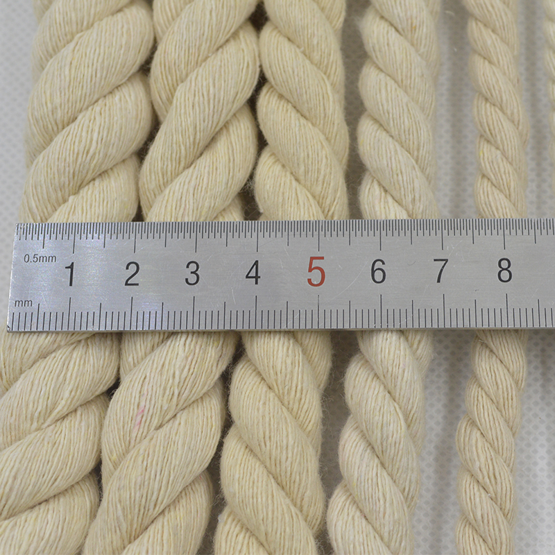 Custom color firm twisted custom printed wearing thick cotton paper rope for sale