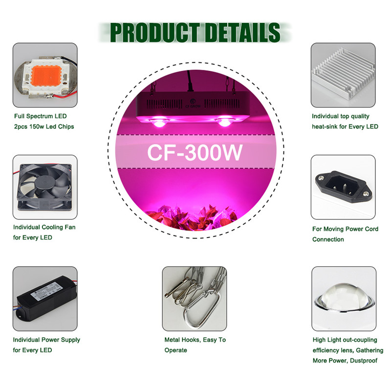 Grow light 300W 600W LED flood light with warm light sale