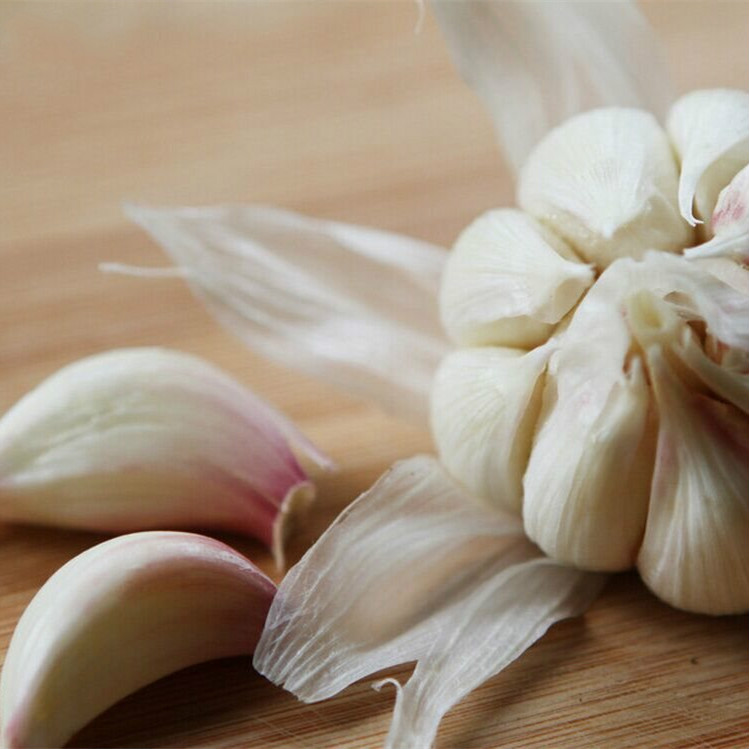 fresh 5p pure whtie garlic for sale
