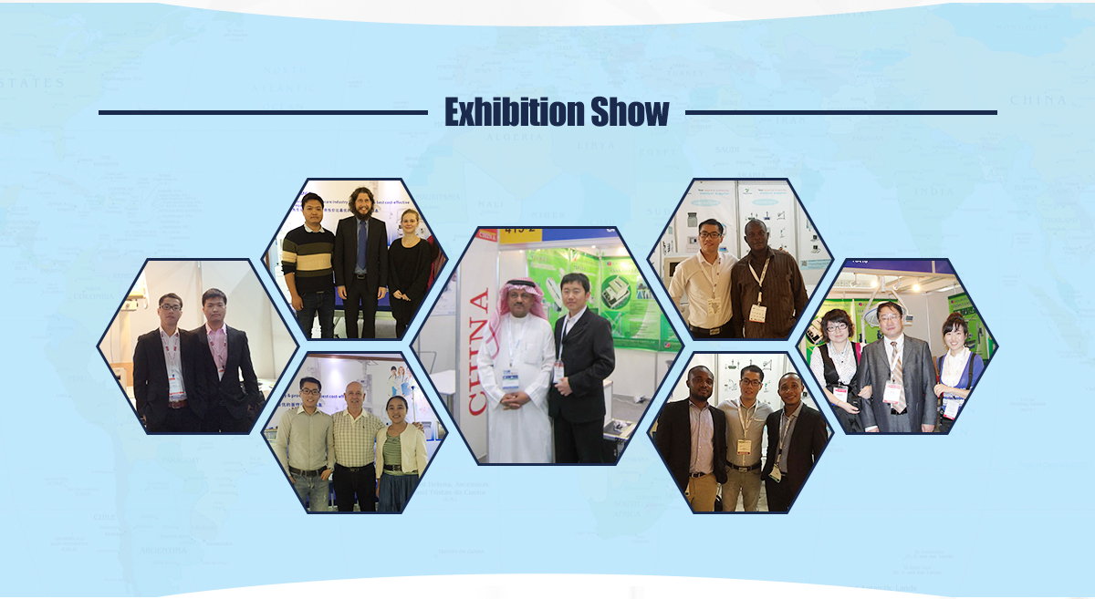 AC 220V Standalone Natural Gas Sensor LPG Battery Gas Detector