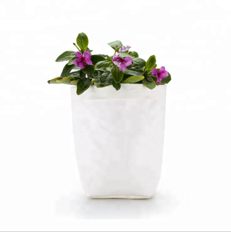 Eco-friendly Kraft Plant Washable Paper Bag for sale