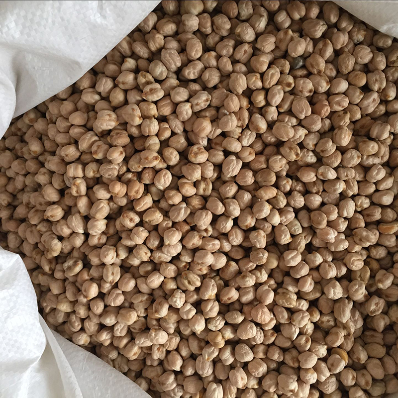 High Quality 7mm 8mm 9mm 10mm 11mm 12mm Chickpeas with Cheap Price for sale