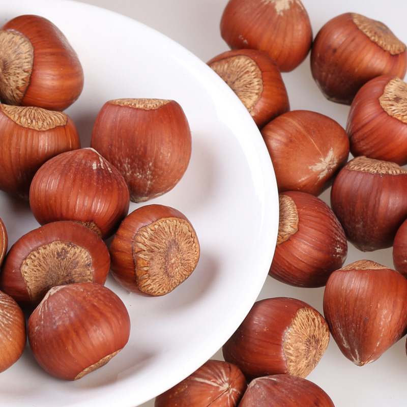 Chinese suppliers roasted hazelnut, Cobnut/Dry Hazelnuts sale