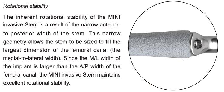 Bone Preservation Stem
