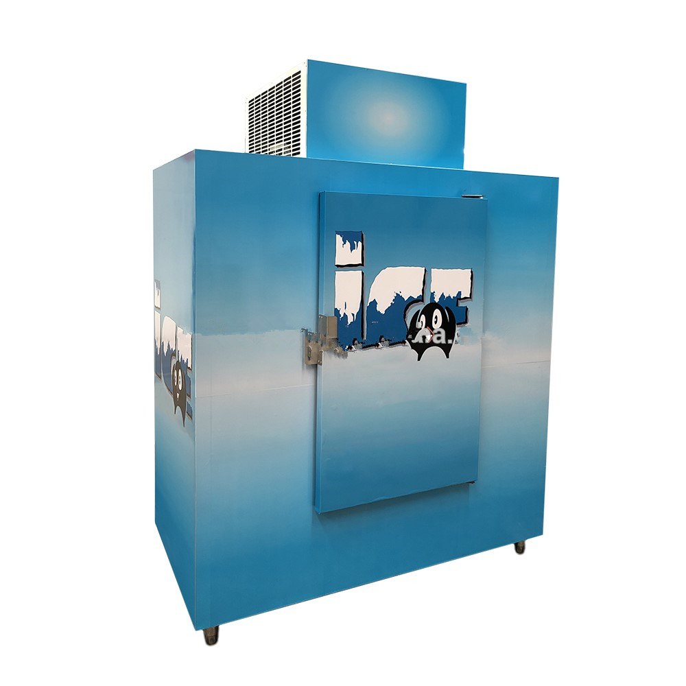 630 model Outdoor /inddor use Ice merchandiser