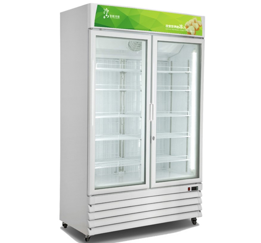Commercial glass door upright display freezer with 2 doors