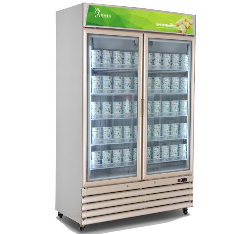 Commercial glass door upright display freezer with 2 doors