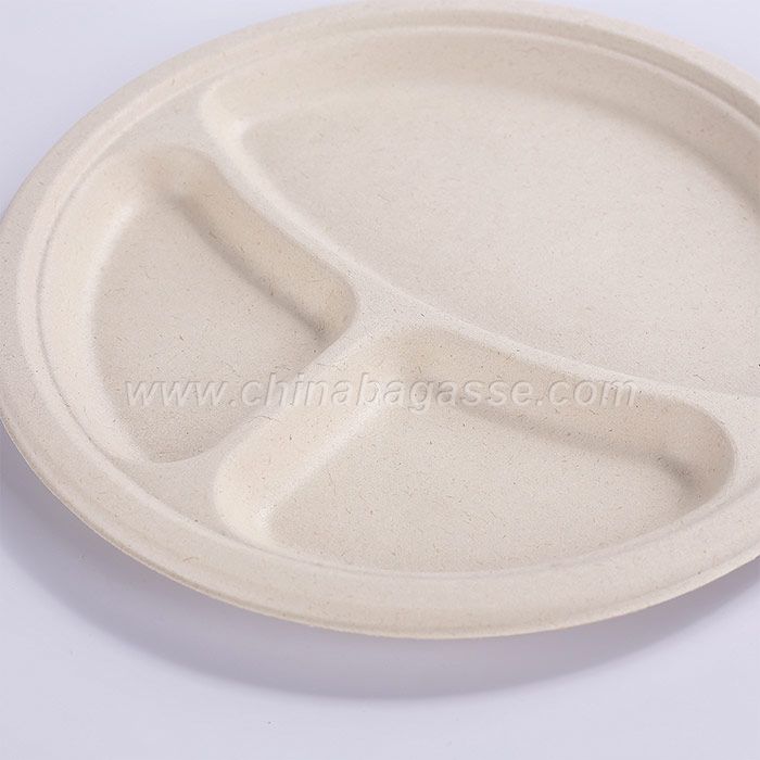 Sugarcane 10inch 3com Plate