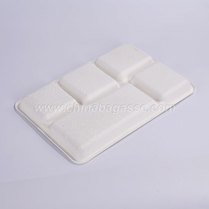 White 5 Com Bagasse Tray