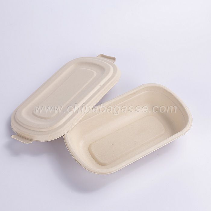 Eco Friendly 750ml Disposable Bagasse Container