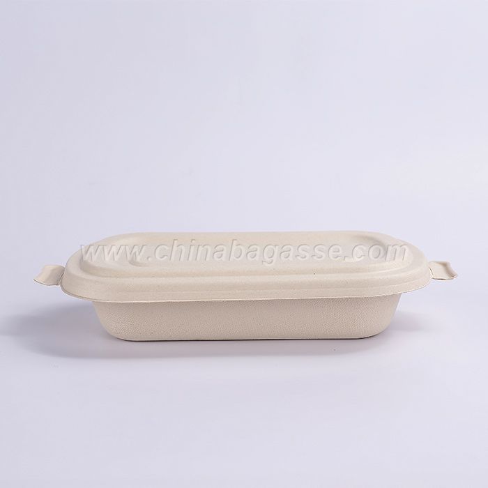 Eco Friendly 750ml Disposable Bagasse Container