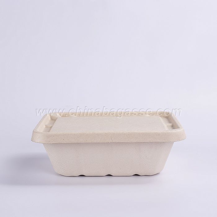 Sugarcane 1500ml Rectangle Container