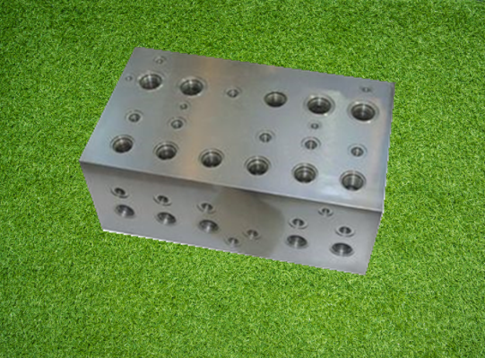 Stainless steel valve block