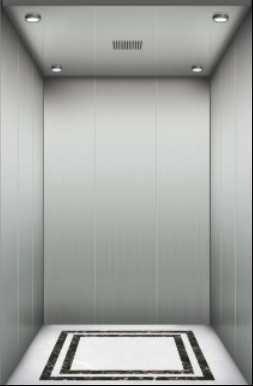 Small shaft elevator VVVF Gearless Traction/Residential Passenger home lift