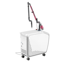 Q-Switched Nd:YAG Laser Therapy Systems ExQ-Laser