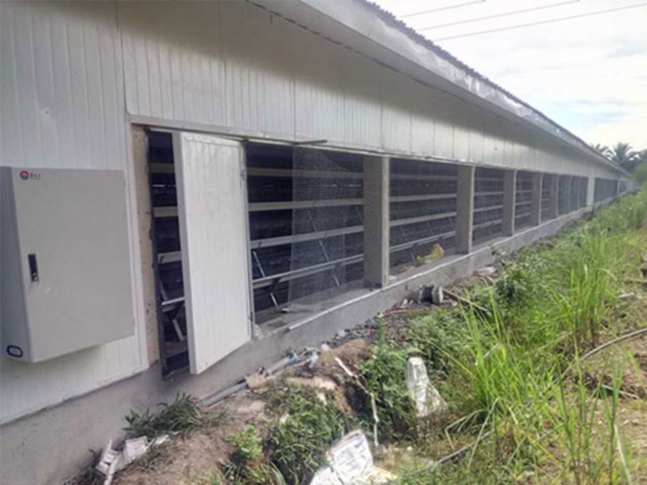 Hot Galvanized Automatic Chicken Cage/Poultry Farm House Design  custom steel structure chicken house  chicken house for sale