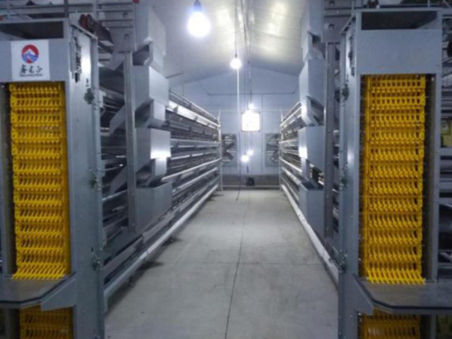 Hot Galvanized Automatic Chicken Cage/Poultry Farm House Design  custom steel structure chicken house  chicken house for sale