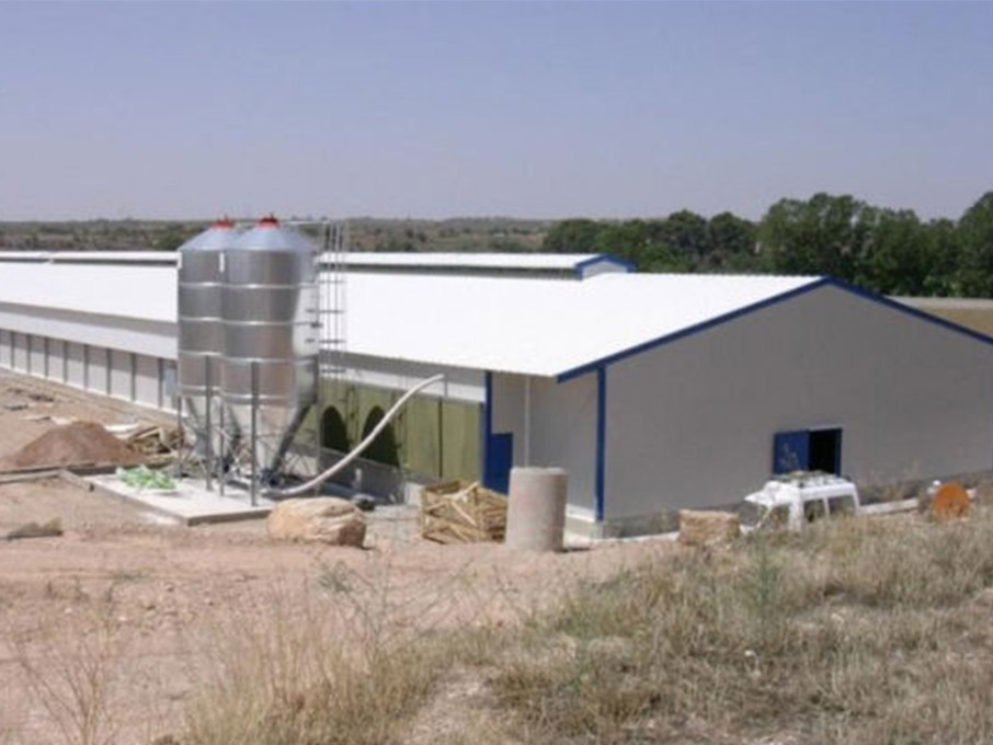 Hot Galvanized Automatic Chicken Cage/Poultry Farm House Design  custom steel structure chicken house  chicken house for sale