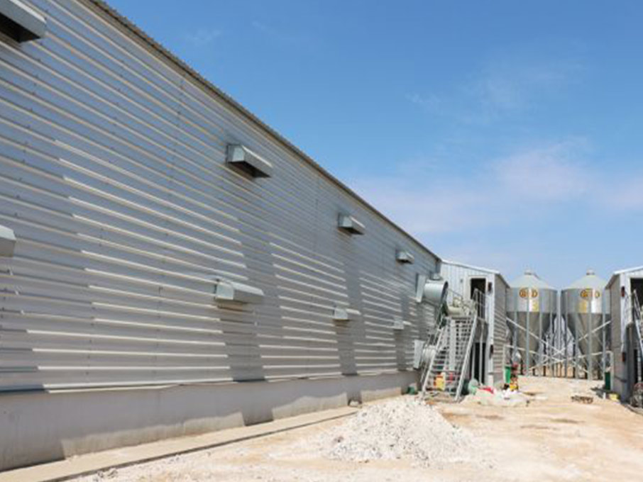 Hot Galvanized Automatic Chicken Cage/Poultry Farm House Design  custom steel structure chicken house  chicken house for sale