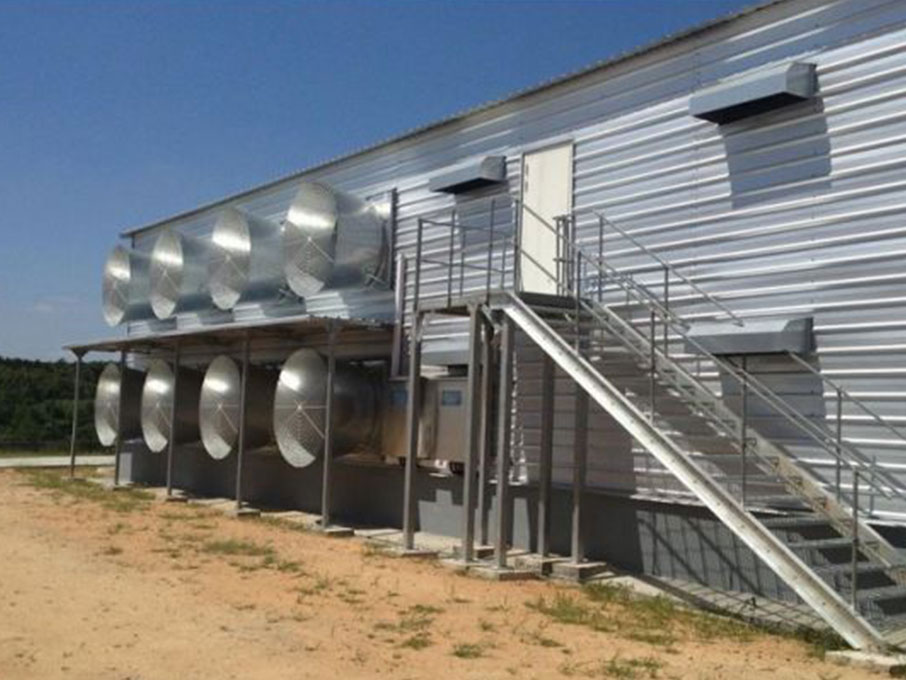 Hot Galvanized Automatic Chicken Cage/Poultry Farm House Design  custom steel structure chicken house  chicken house for sale