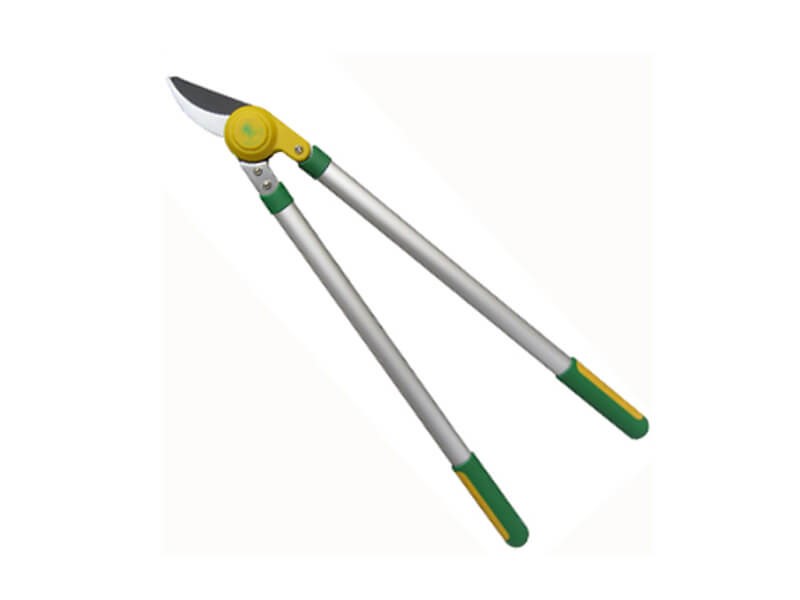Leafage and Grass Shears - 3151