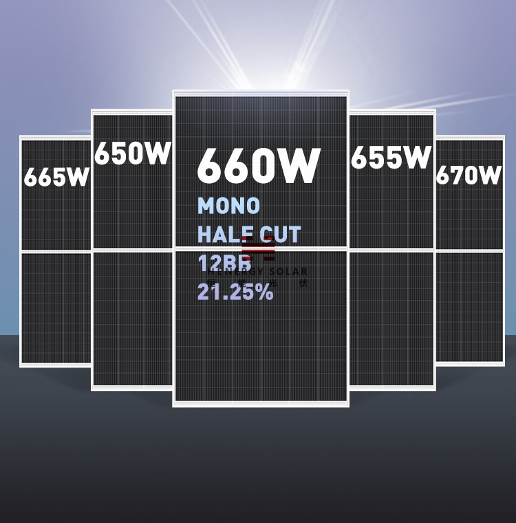 132 HALF-CELL BIFACIAL MONO CRYSTALLINE SOLAR MODULES 650W-670W